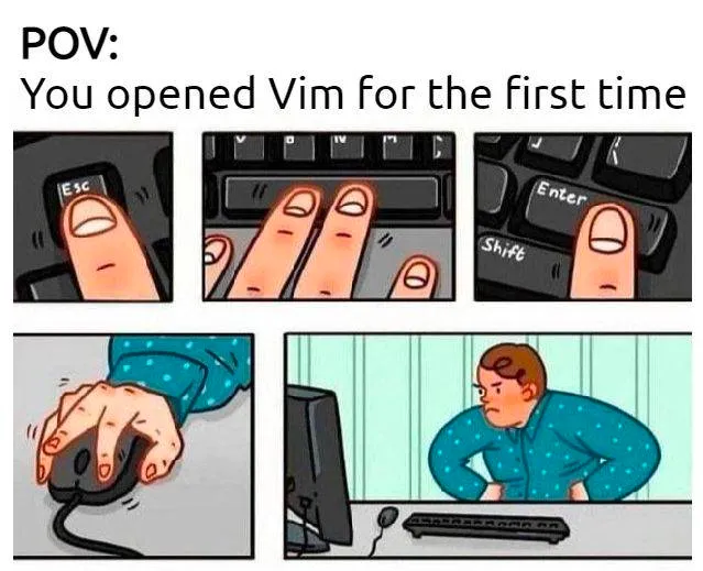 Meme about first time Vim users.