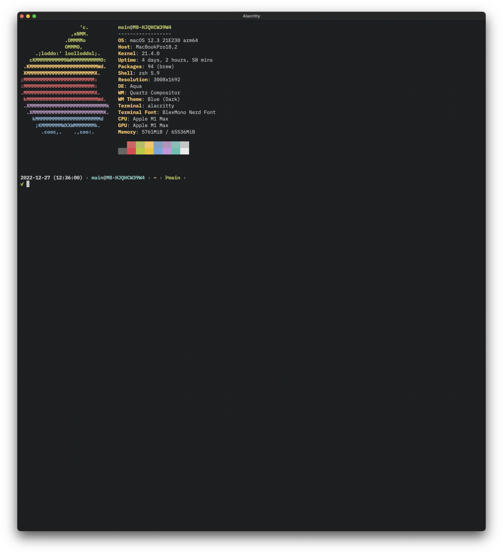 Picture of Alacritty terminal with minimal setup.